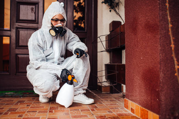Attic and Crawl Space Rodent Treatment in Petersburg
