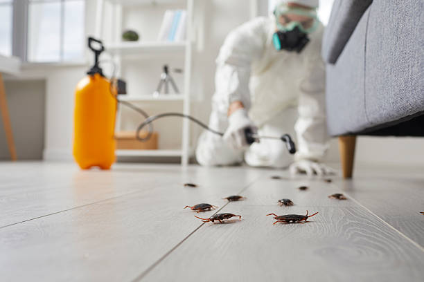 Commercial Rodent Management in Petersburg